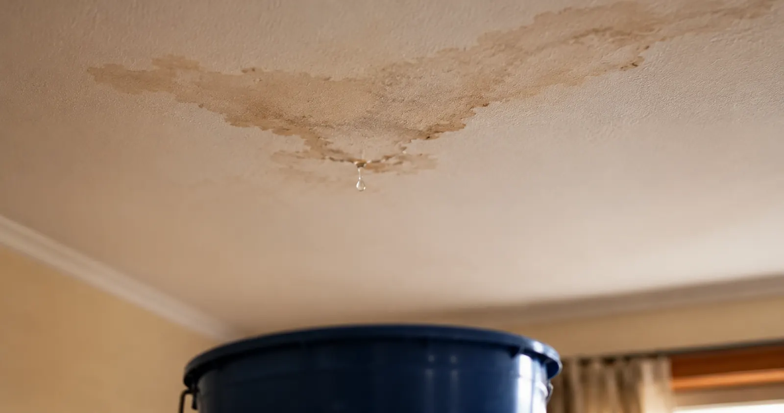 Blog: 48 hours after roof leak - water seeping through ceiling (illustrative image)