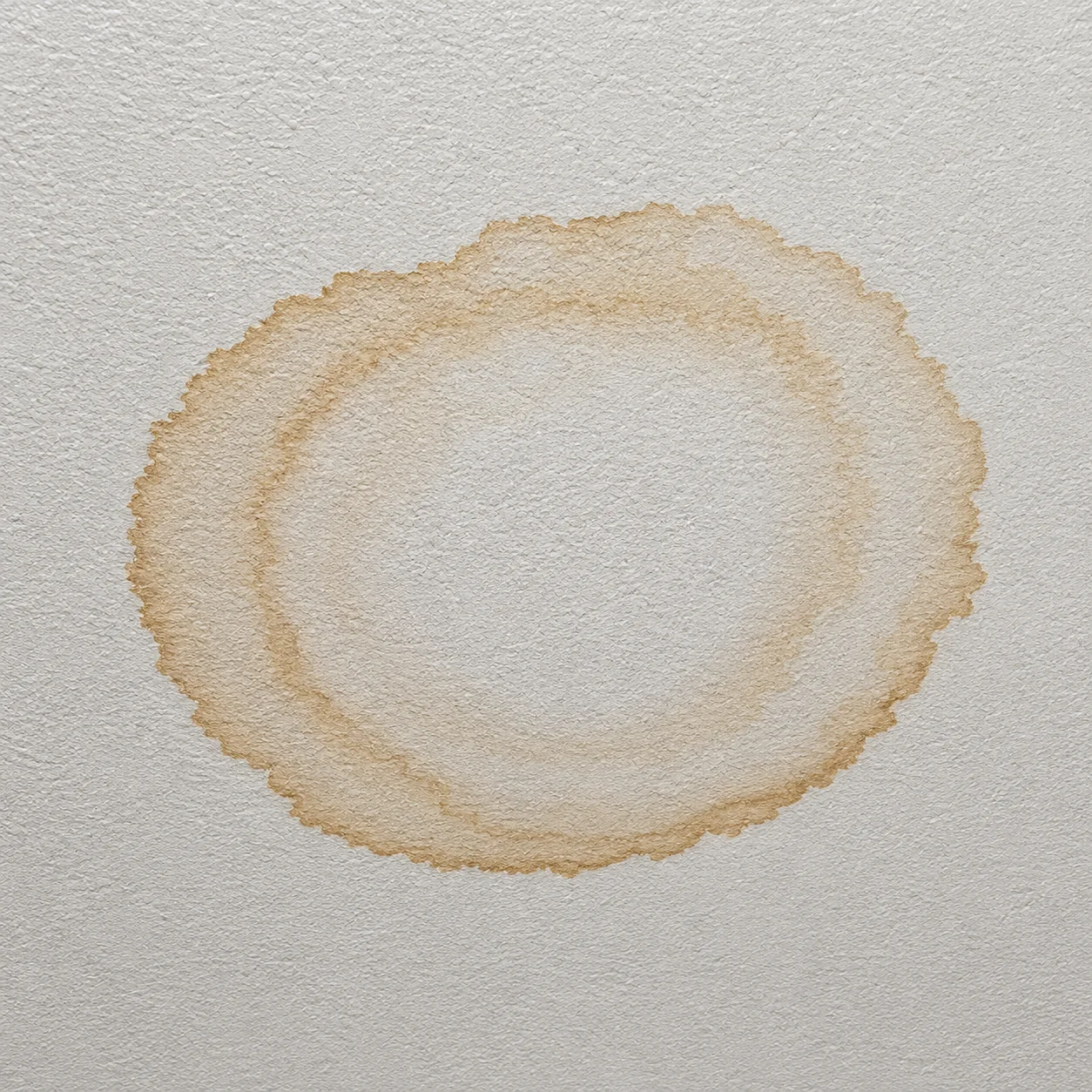 Mold quiz card 4: dried water-stain ring on a ceiling (NOT mold) (lok4)